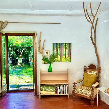 B&B Casa Codega Intragna Zewnętrze zdjęcie