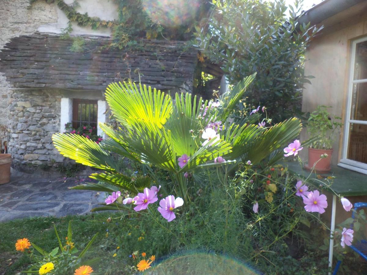 B&B Casa Codega Intragna Zewnętrze zdjęcie